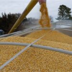 Tarım Bakanlığı’ndan 30 Milyon Lira Destek Ödemesi