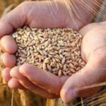 Tarım Bakanından Çiftçilere 1 Milyar TL Destek!