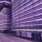 Nordic Harvest: Danimarka’da Dikey Tarım Devrimi!