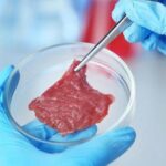Laboratuvarda Üretilen Etlerin Geleceği