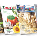 Dergi Dünyasında Heyecan Dolu Haberler!