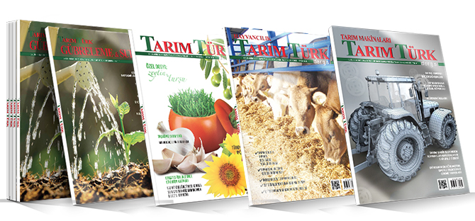 Dergi Dünyasında Heyecan Dolu Haberler!