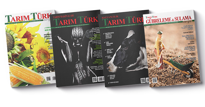 Dergi Kapaklarıyla İlgili Haberleri İncelemeye Ne Dersiniz?