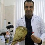 ERÜ ZF’den Yerli Bakterilerle Yüzde 20 Verim Artışı!