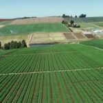 Çiftçilere 5 Milyar TL Destek Ödemeleri Başladı