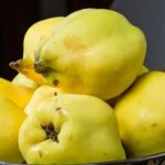 Sonbaharın Gözdesi Ayva: Lezzet ve Şifa Kaynağı