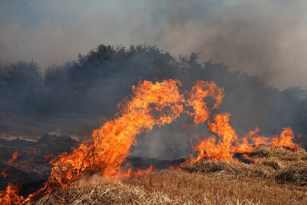 Çanakkale’de Orman Yangını Kontrol Altına Alındı mı?