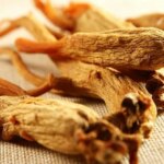Ginseng: Doğal Enerji Deposu!