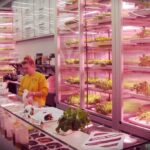 Şeffaf Vitrinlerde Yetiştirilen Marullar – Yeni Bir Tarım Trendi