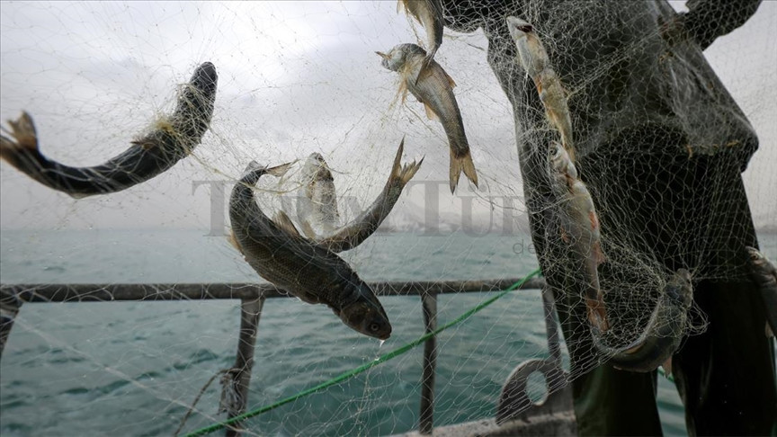 Küçük Ölçekli Balıkçılara Destek Artışı!