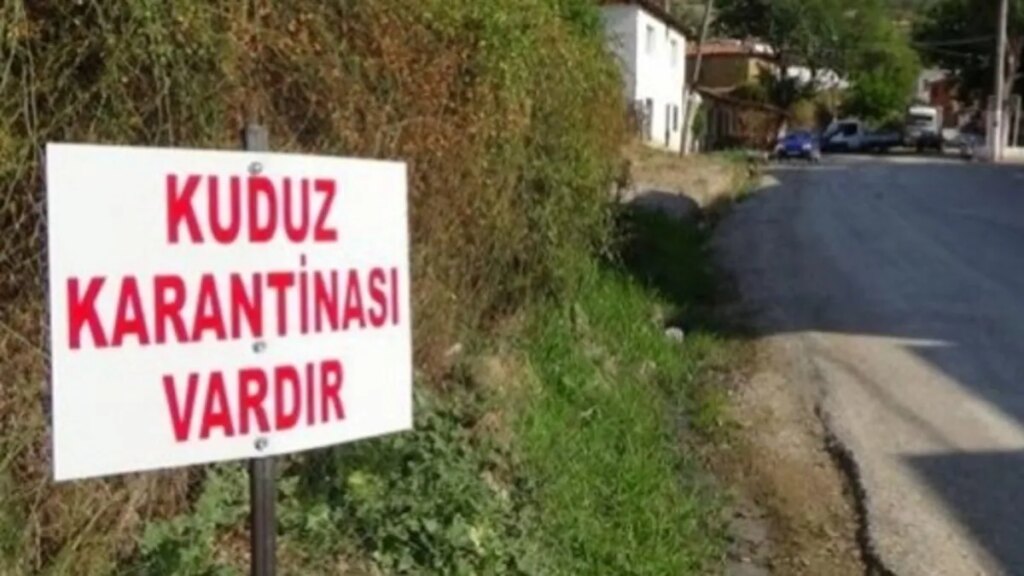 Kuduz Tehlikesi: Şanlıurfa’da Bir Mahalle Daha Karantinada