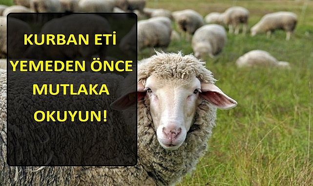Kurban Bayramında Et Yemeden Önce – Sağlık Önerileri