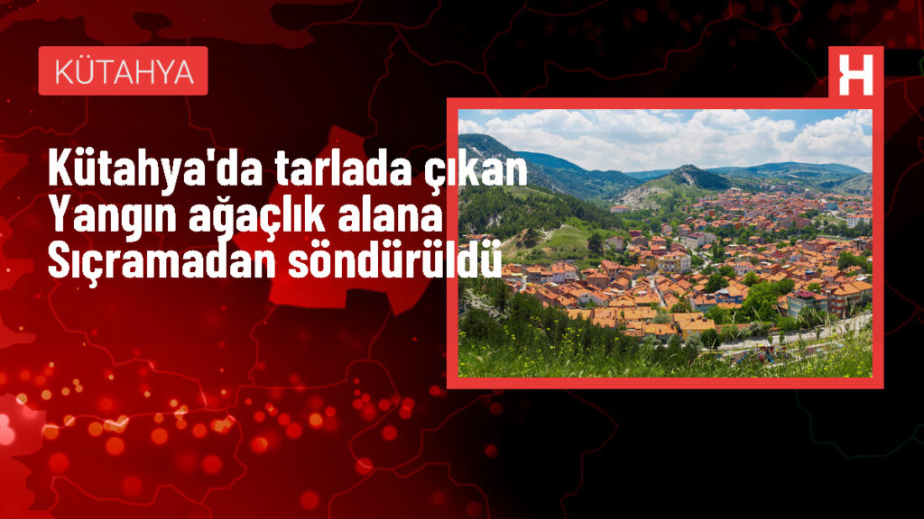 Kütahya’nın Gediz İlçesindeki Tarla Yangını Kontrol Altında!