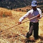 Çiftçi Borç Yapılandırması Şoku!