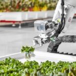 Iron Ox: Otonom Çiftlikte Robotlar Tarımı Ele Geçirdi!