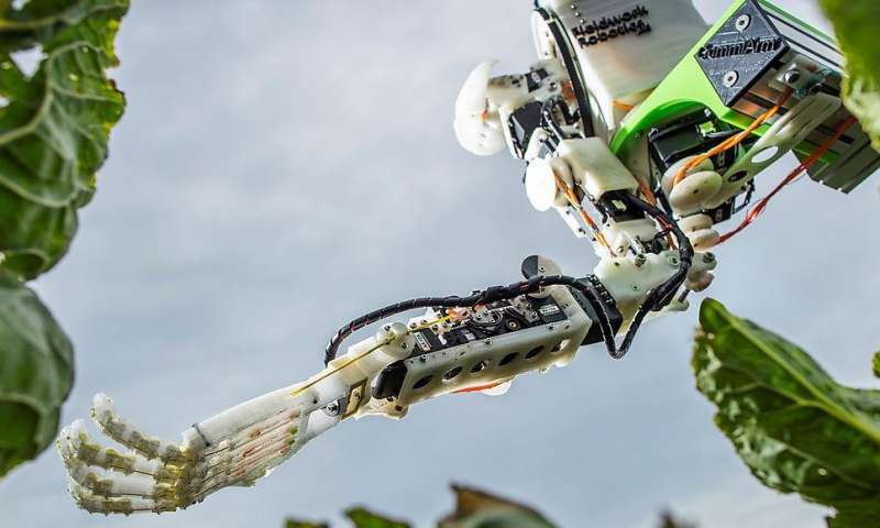 GummiArm: Tarımda Robotikleşme Yolunda İleri Adımlar