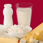 TVHB: Hayvancılıkta Çözüm Arayışı