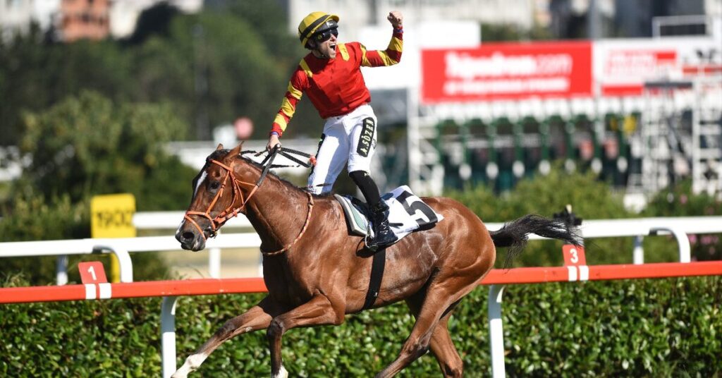 Dragon Flame Kazandı, Gazi Koşusu’nda Sürpriz Zafer!