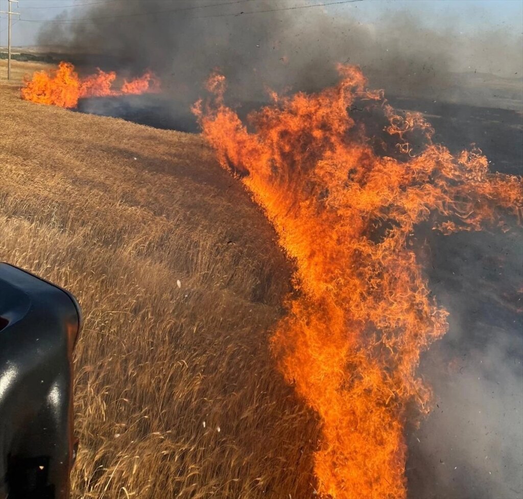 Yozgat’ta 1000 Dekar Buğday Yangında!