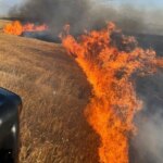 Yozgat’ta 1000 Dekar Buğday Yangında!