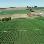 “Çiftçilere 2.1 Milyar TL Destek Ödemesi Yapıldı”