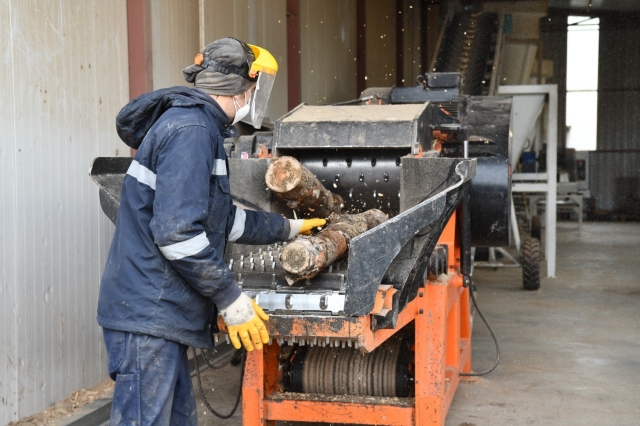 Ankara Belediyesi Ağaç Atıklarını Pelet Yakıta Dönüştürüyor