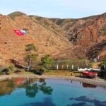 Muğla’da Orman Yangını Sonrası Yeniden Yeşeren Kızılçam Ormanı