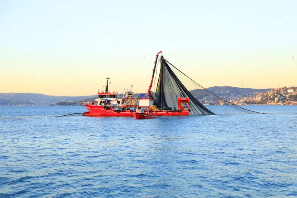 Su Ürünleri İhracatında Tarihi Rekor!