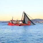 Su Ürünleri İhracatında Tarihi Rekor!