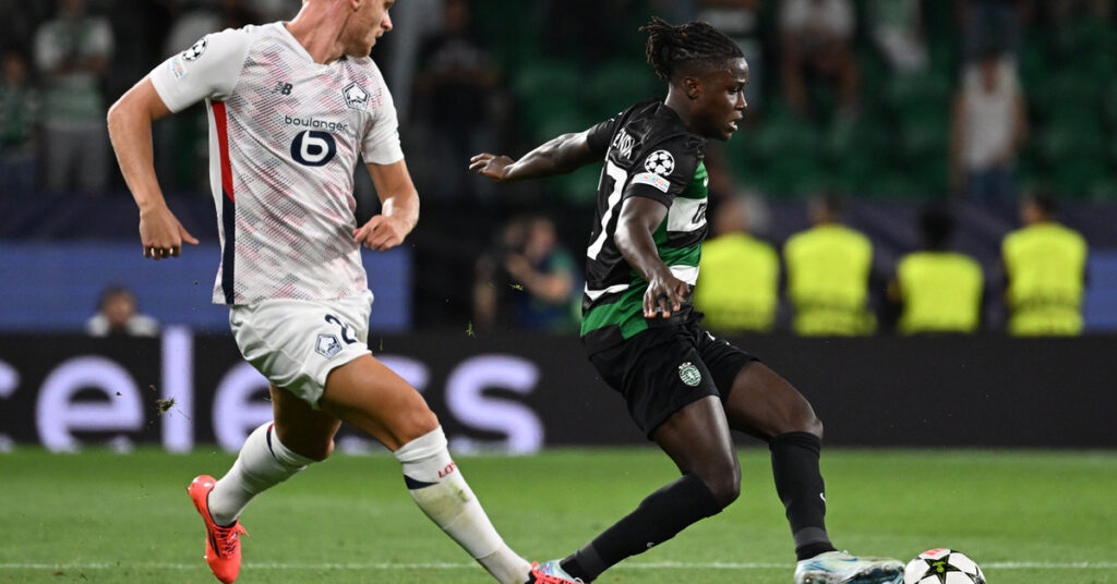 “Sokak hayvanlarının kışa hazırlık çabası”