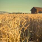 “Yeni Araştırma: İnsanların %70’i Bu Habere Şok Olacak!”