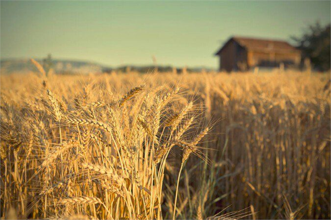 “Yeni Araştırma: İnsanların %70’i Bu Habere Şok Olacak!”