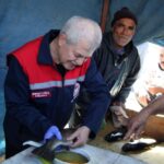 Isparta’da Yavru Alabalık Üretimine Başlandı