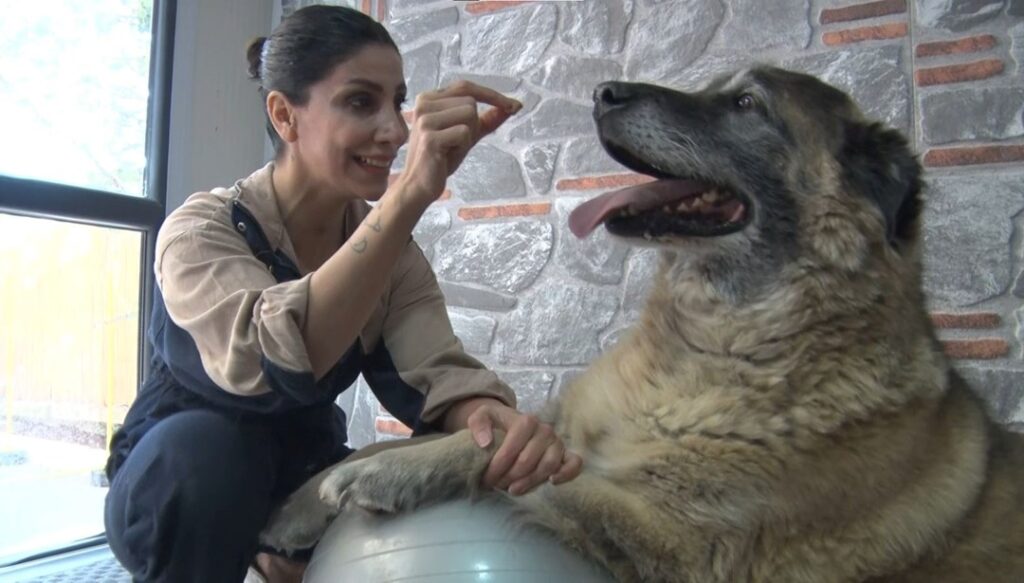 Duman’ın Sağlık Durumu: İlk Adımlar Atıldı!