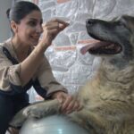 Duman’ın Sağlık Durumu: İlk Adımlar Atıldı!