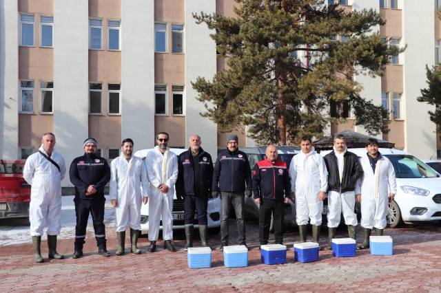 Sivas’ta Şap Aşılama Kampanyası Başladı!