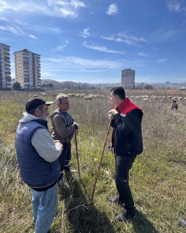 Tekirdağ İl Tarım Müdürü Çobanlarla Samimi Sohbet Etti!