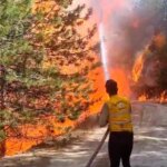 Aydın’da Orman Yangını! Nazilli’de Alevlerle Mücadele