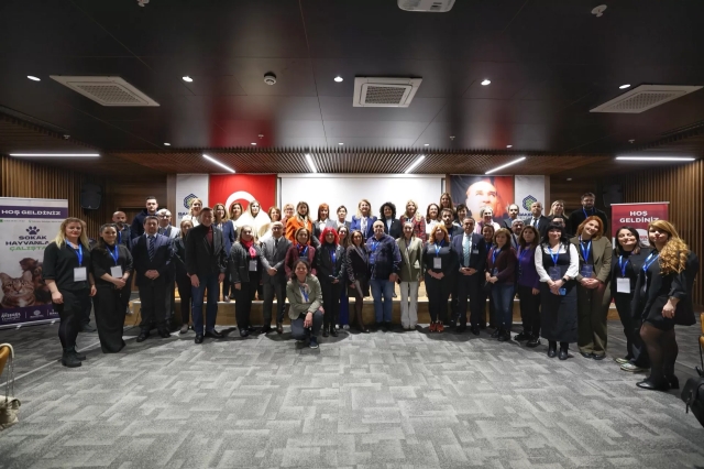 Sokak Hayvanları Çalıştayı: Önemli Sonuçlar ve İlginç Detaylar