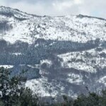 Bandırma ve Erdek’te Mart Ayında Kar Sürprizi!