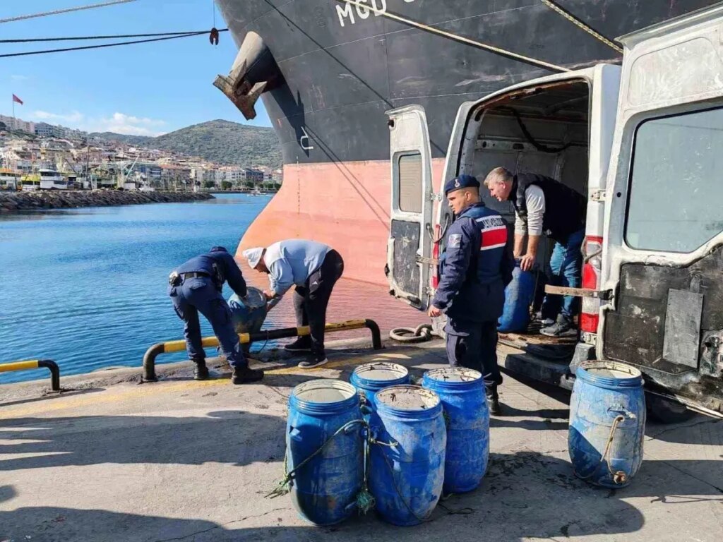 Izmir’de 600 Kilogram Canlı Deniz Patlıcanı Ele Geçirildi!