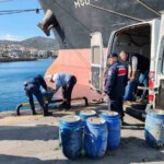 Izmir’de 600 Kilogram Canlı Deniz Patlıcanı Ele Geçirildi!