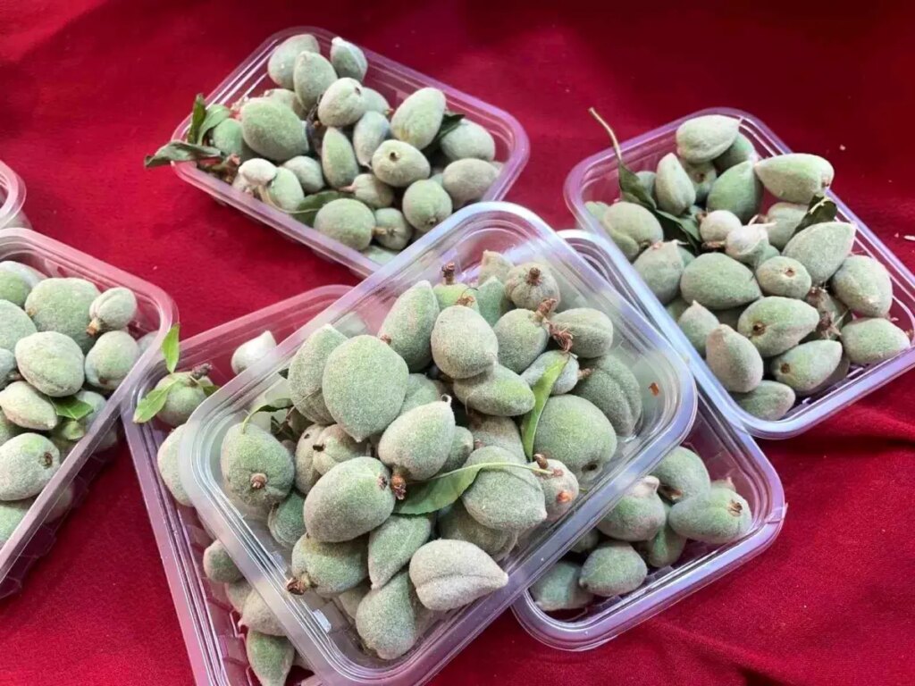 Badem Çağlası Fiyatları Düştü!