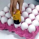 Yumurta İhracatında Yeni Düzenleme! 🥚🌍 #Yumurta #Düzenleme