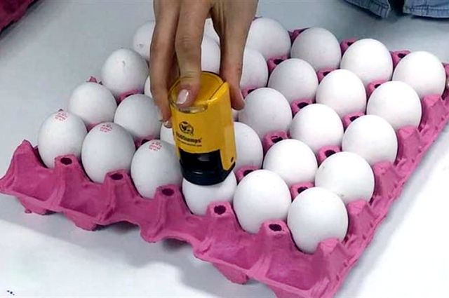 Yumurta İhracatında Yeni Düzenleme! 🥚🌍 #Yumurta #Düzenleme