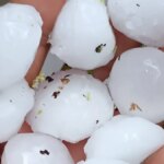 Yozgat’ta Dolu Felaketi: Meyve Ağaçlarında Hasar Oluştu