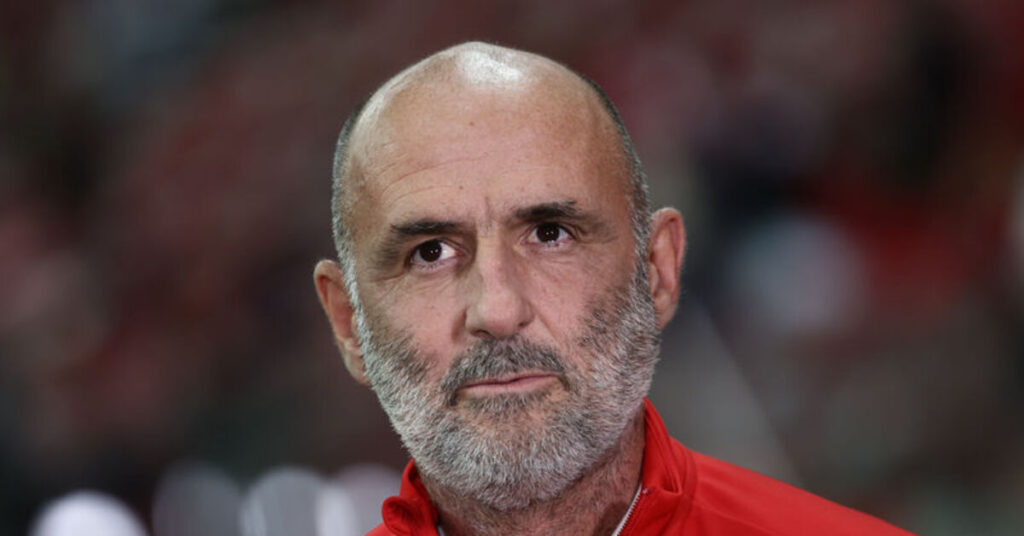 Polonya’dan Türkiye’ye zorlu maç: Yönetici Zaferi Hak Ettik!