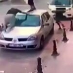 Başıboş Köpeklerin Yol Açtığı Ölümler Artıyor