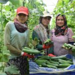 Aksu’da Kadın Çiftçilerin Mücadelesi