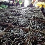 İstanbul’da Kaçak İstavrit Operasyonu